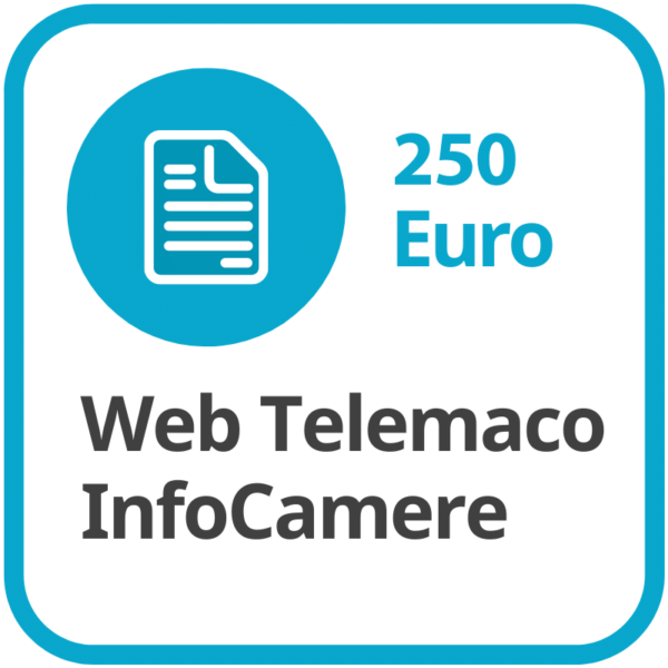 abbonamento web telemaco infocamere